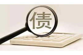 青阳为什么选择专业追讨公司来处理您的债务纠纷？